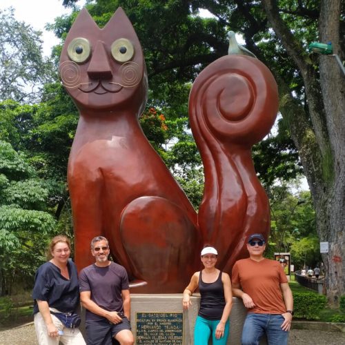 CITY TOUR GATO DEL RIO 1x1