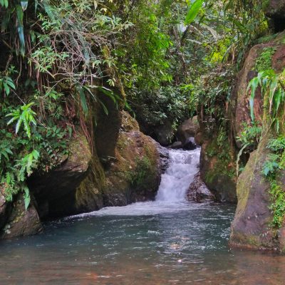 {"type":"elementor","siteurl":"https://fbs.xwc.mybluehost.me/website_40c679f1/wp-json/","elements":[{"id":"7150459","elType":"widget","isInner":false,"isLocked":false,"settings":{"image":{"id":11844,"url":"https://fbs.xwc.mybluehost.me/website_40c679f1/wp-content/uploads/2023/09/Zoologico-de-Cali.jpg","alt":"Zooogico de CAli","source":"library","size":""},"image_size":"custom","align":"center","caption":"Cali City Tour","_margin":{"unit":"em","top":"","right":"","bottom":"","left":"","isLinked":true},"_margin_tablet":{"unit":"em","top":"","right":"","bottom":"","left":"","isLinked":true},"_margin_mobile":{"unit":"em","top":"","right":"","bottom":"","left":"","isLinked":true},"_animation":"pulse","_transform_rotate_popover":"transform","_transform_scale_popover":"transform","_transform_scale_popover_hover":"transform","_transform_scale_effect_hover":{"unit":"px","size":1.1,"sizes":[]},"__globals__":{"caption_typography_typography":"globals/typography?id=secondary"},"image_custom_dimension":{"width":"400","height":"400"},"link_to":"custom","link":{"url":"https://fbs.xwc.mybluehost.me/website_40c679f1/","is_external":"","nofollow":"","custom_attributes":""},"text_color":"#FFFFFF","caption_background_color":"#4381C1","motion_fx_motion_fx_mouse":"yes","caption_source":"none","open_lightbox":"default","align_tablet":"","align_mobile":"","width":{"unit":"%","size":"","sizes":[]},"width_tablet":{"unit":"%","size":"","sizes":[]},"width_mobile":{"unit":"%","size":"","sizes":[]},"space":{"unit":"%","size":"","sizes":[]},"space_tablet":{"unit":"%","size":"","sizes":[]},"space_mobile":{"unit":"%","size":"","sizes":[]},"height":{"unit":"px","size":"","sizes":[]},"height_tablet":{"unit":"px","size":"","sizes":[]},"height_mobile":{"unit":"px","size":"","sizes":[]},"object-fit":"","object-fit_tablet":"","object-fit_mobile":"","object-position":"center center","object-position_tablet":"","object-position_mobile":"","opacity":{"unit":"px","size":"","sizes":[]},"css_filters_css_filter":"","css_filters_blur":{"unit":"px","size":0,"sizes":[]},"css_filters_brightness":{"unit":"px","size":100,"sizes":[]},"css_filters_contrast":{"unit":"px","size":100,"sizes":[]},"css_filters_saturate":{"unit":"px","size":100,"sizes":[]},"css_filters_hue":{"unit":"px","size":0,"sizes":[]},"opacity_hover":{"unit":"px","size":"","sizes":[]},"css_filters_hover_css_filter":"","css_filters_hover_blur":{"unit":"px","size":0,"sizes":[]},"css_filters_hover_brightness":{"unit":"px","size":100,"sizes":[]},"css_filters_hover_contrast":{"unit":"px","size":100,"sizes":[]},"css_filters_hover_saturate":{"unit":"px","size":100,"sizes":[]},"css_filters_hover_hue":{"unit":"px","size":0,"sizes":[]},"background_hover_transition":{"unit":"px","size":"","sizes":[]},"hover_animation":"","image_border_border":"","image_border_width":{"unit":"px","top":"","right":"","bottom":"","left":"","isLinked":true},"image_border_width_tablet":{"unit":"px","top":"","right":"","bottom":"","left":"","isLinked":true},"image_border_width_mobile":{"unit":"px","top":"","right":"","bottom":"","left":"","isLinked":true},"image_border_color":"","image_border_radius":{"unit":"px","top":"","right":"","bottom":"","left":"","isLinked":true},"image_border_radius_tablet":{"unit":"px","top":"","right":"","bottom":"","left":"","isLinked":true},"image_border_radius_mobile":{"unit":"px","top":"","right":"","bottom":"","left":"","isLinked":true},"image_box_shadow_box_shadow_type":"","image_box_shadow_box_shadow":{"horizontal":0,"vertical":0,"blur":10,"spread":0,"color":"rgba(0,0,0,0.5)"},"caption_align":"","caption_align_tablet":"","caption_align_mobile":"","caption_typography_typography":"","caption_typography_font_family":"","caption_typography_font_size":{"unit":"px","size":"","sizes":[]},"caption_typography_font_size_tablet":{"unit":"px","size":"","sizes":[]},"caption_typography_font_size_mobile":{"unit":"px","size":"","sizes":[]},"caption_typography_font_weight":"","caption_typography_text_transform":"","caption_typography_font_style":"","caption_typography_text_decoration":"","caption_typography_line_height":{"unit":"px","size":"","sizes":[]},"caption_typography_line_height_tablet":{"unit":"em","size":"","sizes":[]},"caption_typography_line_height_mobile":{"unit":"em","size":"","sizes":[]},"caption_typography_letter_spacing":{"unit":"px","size":"","sizes":[]},"caption_typography_letter_spacing_tablet":{"unit":"px","size":"","sizes":[]},"caption_typography_letter_spacing_mobile":{"unit":"px","size":"","sizes":[]},"caption_typography_word_spacing":{"unit":"px","size":"","sizes":[]},"caption_typography_word_spacing_tablet":{"unit":"em","size":"","sizes":[]},"caption_typography_word_spacing_mobile":{"unit":"em","size":"","sizes":[]},"caption_text_shadow_text_shadow_type":"","caption_text_shadow_text_shadow":{"horizontal":0,"vertical":0,"blur":10,"color":"rgba(0,0,0,0.3)"},"caption_space":{"unit":"px","size":"","sizes":[]},"caption_space_tablet":{"unit":"px","size":"","sizes":[]},"caption_space_mobile":{"unit":"px","size":"","sizes":[]},"_title":"","_padding":{"unit":"px","top":"","right":"","bottom":"","left":"","isLinked":true},"_padding_tablet":{"unit":"px","top":"","right":"","bottom":"","left":"","isLinked":true},"_padding_mobile":{"unit":"px","top":"","right":"","bottom":"","left":"","isLinked":true},"_element_width":"","_element_width_tablet":"","_element_width_mobile":"","_element_custom_width":{"unit":"%","size":"","sizes":[]},"_element_custom_width_tablet":{"unit":"px","size":"","sizes":[]},"_element_custom_width_mobile":{"unit":"px","size":"","sizes":[]},"_grid_column":"","_grid_column_tablet":"","_grid_column_mobile":"","_grid_column_custom":"","_grid_column_custom_tablet":"","_grid_column_custom_mobile":"","_grid_row":"","_grid_row_tablet":"","_grid_row_mobile":"","_grid_row_custom":"","_grid_row_custom_tablet":"","_grid_row_custom_mobile":"","_element_vertical_align":"","_element_vertical_align_tablet":"","_element_vertical_align_mobile":"","_position":"","_offset_orientation_h":"start","_offset_x":{"unit":"px","size":0,"sizes":[]},"_offset_x_tablet":{"unit":"px","size":"","sizes":[]},"_offset_x_mobile":{"unit":"px","size":"","sizes":[]},"_offset_x_end":{"unit":"px","size":0,"sizes":[]},"_offset_x_end_tablet":{"unit":"px","size":"","sizes":[]},"_offset_x_end_mobile":{"unit":"px","size":"","sizes":[]},"_offset_orientation_v":"start","_offset_y":{"unit":"px","size":0,"sizes":[]},"_offset_y_tablet":{"unit":"px","size":"","sizes":[]},"_offset_y_mobile":{"unit":"px","size":"","sizes":[]},"_offset_y_end":{"unit":"px","size":0,"sizes":[]},"_offset_y_end_tablet":{"unit":"px","size":"","sizes":[]},"_offset_y_end_mobile":{"unit":"px","size":"","sizes":[]},"_z_index":"","_z_index_tablet":"","_z_index_mobile":"","_element_id":"","_css_classes":"","e_display_conditions":"","jet_family_widget_is_order_orientaion":"false","jet_family_widget_order_orientaion":"","jet_family_widget_order_orientaion_tablet":"","jet_family_widget_order_orientaion_mobile":"","jet_family_widget_is_flex_basis":"false","jet_family_widget_flex_basis":{"unit":"px","size":0,"sizes":[]},"jet_family_widget_flex_basis_tablet":{"unit":"px","size":"","sizes":[]},"jet_family_widget_flex_basis_mobile":{"unit":"px","size":"","sizes":[]},"jet_tricks_widget_parallax":"false","jet_tricks_widget_parallax_speed":{"unit":"%","size":50,"sizes":[]},"jet_tricks_widget_parallax_invert":"false","jet_tricks_widget_parallax_on":["desktop","tablet"],"jet_tricks_widget_satellite":"false","jet_tricks_widget_satellite_type":"text","jet_tricks_widget_satellite_text":"","selected_jet_tricks_widget_satellite_icon":{"value":"fas fa-plus","library":"fa-solid"},"jet_tricks_widget_satellite_image":{"url":"","id":"","size":""},"jet_tricks_widget_satellite_position":"top-center","jet_tricks_widget_satellite_x_offset":{"unit":"px","size":0,"sizes":[]},"jet_tricks_widget_satellite_x_offset_tablet":{"unit":"px","size":"","sizes":[]},"jet_tricks_widget_satellite_x_offset_mobile":{"unit":"px","size":"","sizes":[]},"jet_tricks_widget_satellite_y_offset":{"unit":"px","size":0,"sizes":[]},"jet_tricks_widget_satellite_y_offset_tablet":{"unit":"px","size":"","sizes":[]},"jet_tricks_widget_satellite_y_offset_mobile":{"unit":"px","size":"","sizes":[]},"jet_tricks_widget_satellite_rotate":{"unit":"deg","size":0,"sizes":[]},"jet_tricks_widget_satellite_rotate_tablet":{"unit":"px","size":"","sizes":[]},"jet_tricks_widget_satellite_rotate_mobile":{"unit":"px","size":"","sizes":[]},"jet_tricks_widget_satellite_z":2,"jet_tricks_widget_satellite_z_tablet":"","jet_tricks_widget_satellite_z_mobile":"","jet_tricks_widget_satellite_text_color":"","jet_tricks_widget_satellite_text_typography_typography":"","jet_tricks_widget_satellite_text_typography_font_family":"","jet_tricks_widget_satellite_text_typography_font_size":{"unit":"px","size":"","sizes":[]},"jet_tricks_widget_satellite_text_typography_font_size_tablet":{"unit":"px","size":"","sizes":[]},"jet_tricks_widget_satellite_text_typography_font_size_mobile":{"unit":"px","size":"","sizes":[]},"jet_tricks_widget_satellite_text_typography_font_weight":"","jet_tricks_widget_satellite_text_typography_text_transform":"","jet_tricks_widget_satellite_text_typography_font_style":"","jet_tricks_widget_satellite_text_typography_text_decoration":"","jet_tricks_widget_satellite_text_typography_line_height":{"unit":"px","size":"","sizes":[]},"jet_tricks_widget_satellite_text_typography_line_height_tablet":{"unit":"em","size":"","sizes":[]},"jet_tricks_widget_satellite_text_typography_line_height_mobile":{"unit":"em","size":"","sizes":[]},"jet_tricks_widget_satellite_text_typography_letter_spacing":{"unit":"px","size":"","sizes":[]},"jet_tricks_widget_satellite_text_typography_letter_spacing_tablet":{"unit":"px","size":"","sizes":[]},"jet_tricks_widget_satellite_text_typography_letter_spacing_mobile":{"unit":"px","size":"","sizes":[]},"jet_tricks_widget_satellite_text_typography_word_spacing":{"unit":"px","size":"","sizes":[]},"jet_tricks_widget_satellite_text_typography_word_spacing_tablet":{"unit":"em","size":"","sizes":[]},"jet_tricks_widget_satellite_text_typography_word_spacing_mobile":{"unit":"em","size":"","sizes":[]},"jet_tricks_widget_satellite_text_shadow_text_shadow_type":"","jet_tricks_widget_satellite_text_shadow_text_shadow":{"horizontal":0,"vertical":0,"blur":10,"color":"rgba(0,0,0,0.3)"},"jet_tricks_widget_satellite_image_width":200,"jet_tricks_widget_satellite_image_width_tablet":"","jet_tricks_widget_satellite_image_width_mobile":"","jet_tricks_widget_satellite_image_height":200,"jet_tricks_widget_satellite_image_height_tablet":"","jet_tricks_widget_satellite_image_height_mobile":"","jet_tricks_widget_satellite_icon_box_popover_toggle":"","jet_tricks_widget_satellite_icon_box_background":"","jet_tricks_widget_satellite_icon_box_color":"","jet_tricks_widget_satellite_icon_box_color_stop":{"unit":"%","size":0,"sizes":[]},"jet_tricks_widget_satellite_icon_box_color_b":"#f2295b","jet_tricks_widget_satellite_icon_box_color_b_stop":{"unit":"%","size":100,"sizes":[]},"jet_tricks_widget_satellite_icon_box_gradient_type":"linear","jet_tricks_widget_satellite_icon_box_gradient_angle":{"unit":"deg","size":180,"sizes":[]},"jet_tricks_widget_satellite_icon_box_gradient_position":"center center","jet_tricks_widget_satellite_icon_box_box_font_color":"","jet_tricks_widget_satellite_icon_box_box_font_size":{"unit":"px","size":"","sizes":[]},"jet_tricks_widget_satellite_icon_box_box_font_size_tablet":{"unit":"px","size":"","sizes":[]},"jet_tricks_widget_satellite_icon_box_box_font_size_mobile":{"unit":"px","size":"","sizes":[]},"jet_tricks_widget_satellite_icon_box_box_size":{"unit":"px","size":"","sizes":[]},"jet_tricks_widget_satellite_icon_box_box_size_tablet":{"unit":"px","size":"","sizes":[]},"jet_tricks_widget_satellite_icon_box_box_size_mobile":{"unit":"px","size":"","sizes":[]},"jet_tricks_widget_satellite_icon_box_box_border":"","jet_tricks_widget_satellite_icon_box_box_border_width":{"unit":"px","top":"","right":"","bottom":"","left":"","isLinked":true},"jet_tricks_widget_satellite_icon_box_box_border_color":"","jet_tricks_widget_satellite_icon_box_box_border_radius":{"unit":"px","top":"","right":"","bottom":"","left":"","isLinked":true},"jet_tricks_widget_satellite_icon_box_allow_box_shadow":"","jet_tricks_widget_satellite_icon_box_box_shadow":{"horizontal":0,"vertical":0,"blur":10,"spread":0,"color":"rgba(0,0,0,0.5)"},"jet_tricks_widget_satellite_icon_box_box_shadow_position":" ","jet_tricks_widget_satellite_css_filters_css_filter":"","jet_tricks_widget_satellite_css_filters_blur":{"unit":"px","size":0,"sizes":[]},"jet_tricks_widget_satellite_css_filters_brightness":{"unit":"px","size":100,"sizes":[]},"jet_tricks_widget_satellite_css_filters_contrast":{"unit":"px","size":100,"sizes":[]},"jet_tricks_widget_satellite_css_filters_saturate":{"unit":"px","size":100,"sizes":[]},"jet_tricks_widget_satellite_css_filters_hue":{"unit":"px","size":0,"sizes":[]},"jet_tricks_widget_tooltip":"false","jet_tricks_widget_tooltip_description":"This is Tooltip!","jet_tricks_widget_tooltip_placement":"top","jet_tricks_widget_tooltip_arrow":"true","jet_tricks_widget_tooltip_animation":"fade","jet_tricks_widget_tooltip_trigger":"mouseenter","jet_tricks_widget_tooltip_delay":{"unit":"px","size":0,"sizes":[]},"jet_tricks_widget_tooltip_x_offset":0,"jet_tricks_widget_tooltip_y_offset":0,"jet_tricks_widget_tooltip_z_index":999,"jet_tricks_widget_tooltip_custom_selector":"","jet_tricks_widget_tooltip_width":{"unit":"px","size":"","sizes":[]},"jet_tricks_widget_tooltip_width_tablet":{"unit":"px","size":"","sizes":[]},"jet_tricks_widget_tooltip_width_mobile":{"unit":"px","size":"","sizes":[]},"jet_tricks_widget_tooltip_typography_typography":"","jet_tricks_widget_tooltip_typography_font_family":"","jet_tricks_widget_tooltip_typography_font_size":{"unit":"px","size":"","sizes":[]},"jet_tricks_widget_tooltip_typography_font_size_tablet":{"unit":"px","size":"","sizes":[]},"jet_tricks_widget_tooltip_typography_font_size_mobile":{"unit":"px","size":"","sizes":[]},"jet_tricks_widget_tooltip_typography_font_weight":"","jet_tricks_widget_tooltip_typography_text_transform":"","jet_tricks_widget_tooltip_typography_font_style":"","jet_tricks_widget_tooltip_typography_text_decoration":"","jet_tricks_widget_tooltip_typography_line_height":{"unit":"px","size":"","sizes":[]},"jet_tricks_widget_tooltip_typography_line_height_tablet":{"unit":"em","size":"","sizes":[]},"jet_tricks_widget_tooltip_typography_line_height_mobile":{"unit":"em","size":"","sizes":[]},"jet_tricks_widget_tooltip_typography_letter_spacing":{"unit":"px","size":"","sizes":[]},"jet_tricks_widget_tooltip_typography_letter_spacing_tablet":{"unit":"px","size":"","sizes":[]},"jet_tricks_widget_tooltip_typography_letter_spacing_mobile":{"unit":"px","size":"","sizes":[]},"jet_tricks_widget_tooltip_typography_word_spacing":{"unit":"px","size":"","sizes":[]},"jet_tricks_widget_tooltip_typography_word_spacing_tablet":{"unit":"em","size":"","sizes":[]},"jet_tricks_widget_tooltip_typography_word_spacing_mobile":{"unit":"em","size":"","sizes":[]},"jet_tricks_widget_tooltip_color":"","jet_tricks_widget_tooltip_text_align":"center","jet_tricks_widget_tooltip_background_background":"","jet_tricks_widget_tooltip_background_color":"","jet_tricks_widget_tooltip_background_color_stop":{"unit":"%","size":0,"sizes":[]},"jet_tricks_widget_tooltip_background_color_stop_tablet":{"unit":"%"},"jet_tricks_widget_tooltip_background_color_stop_mobile":{"unit":"%"},"jet_tricks_widget_tooltip_background_color_b":"#f2295b","jet_tricks_widget_tooltip_background_color_b_stop":{"unit":"%","size":100,"sizes":[]},"jet_tricks_widget_tooltip_background_color_b_stop_tablet":{"unit":"%"},"jet_tricks_widget_tooltip_background_color_b_stop_mobile":{"unit":"%"},"jet_tricks_widget_tooltip_background_gradient_type":"linear","jet_tricks_widget_tooltip_background_gradient_angle":{"unit":"deg","size":180,"sizes":[]},"jet_tricks_widget_tooltip_background_gradient_angle_tablet":{"unit":"deg"},"jet_tricks_widget_tooltip_background_gradient_angle_mobile":{"unit":"deg"},"jet_tricks_widget_tooltip_background_gradient_position":"center center","jet_tricks_widget_tooltip_background_gradient_position_tablet":"","jet_tricks_widget_tooltip_background_gradient_position_mobile":"","jet_tricks_widget_tooltip_background_image":{"url":"","id":"","size":""},"jet_tricks_widget_tooltip_background_image_tablet":{"url":"","id":"","size":""},"jet_tricks_widget_tooltip_background_image_mobile":{"url":"","id":"","size":""},"jet_tricks_widget_tooltip_background_position":"","jet_tricks_widget_tooltip_background_position_tablet":"","jet_tricks_widget_tooltip_background_position_mobile":"","jet_tricks_widget_tooltip_background_xpos":{"unit":"px","size":0,"sizes":[]},"jet_tricks_widget_tooltip_background_xpos_tablet":{"unit":"px","size":0,"sizes":[]},"jet_tricks_widget_tooltip_background_xpos_mobile":{"unit":"px","size":0,"sizes":[]},"jet_tricks_widget_tooltip_background_ypos":{"unit":"px","size":0,"sizes":[]},"jet_tricks_widget_tooltip_background_ypos_tablet":{"unit":"px","size":0,"sizes":[]},"jet_tricks_widget_tooltip_background_ypos_mobile":{"unit":"px","size":0,"sizes":[]},"jet_tricks_widget_tooltip_background_attachment":"","jet_tricks_widget_tooltip_background_repeat":"","jet_tricks_widget_tooltip_background_repeat_tablet":"","jet_tricks_widget_tooltip_background_repeat_mobile":"","jet_tricks_widget_tooltip_background_size":"","jet_tricks_widget_tooltip_background_size_tablet":"","jet_tricks_widget_tooltip_background_size_mobile":"","jet_tricks_widget_tooltip_background_bg_width":{"unit":"%","size":100,"sizes":[]},"jet_tricks_widget_tooltip_background_bg_width_tablet":{"unit":"px","size":"","sizes":[]},"jet_tricks_widget_tooltip_background_bg_width_mobile":{"unit":"px","size":"","sizes":[]},"jet_tricks_widget_tooltip_background_video_link":"","jet_tricks_widget_tooltip_background_video_start":"","jet_tricks_widget_tooltip_background_video_end":"","jet_tricks_widget_tooltip_background_play_once":"","jet_tricks_widget_tooltip_background_play_on_mobile":"","jet_tricks_widget_tooltip_background_privacy_mode":"","jet_tricks_widget_tooltip_background_video_fallback":{"url":"","id":"","size":""},"jet_tricks_widget_tooltip_background_slideshow_gallery":[],"jet_tricks_widget_tooltip_background_slideshow_loop":"yes","jet_tricks_widget_tooltip_background_slideshow_slide_duration":5000,"jet_tricks_widget_tooltip_background_slideshow_slide_transition":"fade","jet_tricks_widget_tooltip_background_slideshow_transition_duration":500,"jet_tricks_widget_tooltip_background_slideshow_background_size":"","jet_tricks_widget_tooltip_background_slideshow_background_size_tablet":"","jet_tricks_widget_tooltip_background_slideshow_background_size_mobile":"","jet_tricks_widget_tooltip_background_slideshow_background_position":"","jet_tricks_widget_tooltip_background_slideshow_background_position_tablet":"","jet_tricks_widget_tooltip_background_slideshow_background_position_mobile":"","jet_tricks_widget_tooltip_background_slideshow_lazyload":"","jet_tricks_widget_tooltip_background_slideshow_ken_burns":"","jet_tricks_widget_tooltip_background_slideshow_ken_burns_zoom_direction":"in","jet_tricks_widget_tooltip_arrow_color":"","jet_tricks_widget_tooltip_padding":{"unit":"px","top":"","right":"","bottom":"","left":"","isLinked":true},"jet_tricks_widget_tooltip_padding_tablet":{"unit":"px","top":"","right":"","bottom":"","left":"","isLinked":true},"jet_tricks_widget_tooltip_padding_mobile":{"unit":"px","top":"","right":"","bottom":"","left":"","isLinked":true},"jet_tricks_widget_tooltip_border_border":"","jet_tricks_widget_tooltip_border_width":{"unit":"px","top":"","right":"","bottom":"","left":"","isLinked":true},"jet_tricks_widget_tooltip_border_width_tablet":{"unit":"px","top":"","right":"","bottom":"","left":"","isLinked":true},"jet_tricks_widget_tooltip_border_width_mobile":{"unit":"px","top":"","right":"","bottom":"","left":"","isLinked":true},"jet_tricks_widget_tooltip_border_color":"","jet_tricks_widget_tooltip_border_radius":{"unit":"px","top":"","right":"","bottom":"","left":"","isLinked":true},"jet_tricks_widget_tooltip_border_radius_tablet":{"unit":"px","top":"","right":"","bottom":"","left":"","isLinked":true},"jet_tricks_widget_tooltip_border_radius_mobile":{"unit":"px","top":"","right":"","bottom":"","left":"","isLinked":true},"jet_tricks_widget_tooltip_box_shadow_box_shadow_type":"","jet_tricks_widget_tooltip_box_shadow_box_shadow":{"horizontal":0,"vertical":0,"blur":10,"spread":0,"color":"rgba(0,0,0,0.5)"},"jet_tricks_widget_tooltip_box_shadow_box_shadow_position":" ","jet_attached_popup":"","jet_trigger_type":"click-self","jet_trigger_custom_selector":"","jet_woo_builder_qv":"","jet_woo_builder_qv_template":"","jet_woo_builder_cart_popup":"","jet_woo_builder_cart_popup_template":"","motion_fx_motion_fx_scrolling":"","motion_fx_translateY_effect":"","motion_fx_translateY_direction":"","motion_fx_translateY_speed":{"unit":"px","size":4,"sizes":[]},"motion_fx_translateY_affectedRange":{"unit":"%","size":"","sizes":{"start":0,"end":100}},"motion_fx_translateX_effect":"","motion_fx_translateX_direction":"","motion_fx_translateX_speed":{"unit":"px","size":4,"sizes":[]},"motion_fx_translateX_affectedRange":{"unit":"%","size":"","sizes":{"start":0,"end":100}},"motion_fx_opacity_effect":"","motion_fx_opacity_direction":"out-in","motion_fx_opacity_level":{"unit":"px","size":10,"sizes":[]},"motion_fx_opacity_range":{"unit":"%","size":"","sizes":{"start":20,"end":80}},"motion_fx_blur_effect":"","motion_fx_blur_direction":"out-in","motion_fx_blur_level":{"unit":"px","size":7,"sizes":[]},"motion_fx_blur_range":{"unit":"%","size":"","sizes":{"start":20,"end":80}},"motion_fx_rotateZ_effect":"","motion_fx_rotateZ_direction":"","motion_fx_rotateZ_speed":{"unit":"px","size":1,"sizes":[]},"motion_fx_rotateZ_affectedRange":{"unit":"%","size":"","sizes":{"start":0,"end":100}},"motion_fx_scale_effect":"","motion_fx_scale_direction":"out-in","motion_fx_scale_speed":{"unit":"px","size":4,"sizes":[]},"motion_fx_scale_range":{"unit":"%","size":"","sizes":{"start":20,"end":80}},"motion_fx_transform_origin_x":"center","motion_fx_transform_origin_y":"center","motion_fx_devices":["desktop","tablet","mobile"],"motion_fx_range":"","motion_fx_mouseTrack_effect":"","motion_fx_mouseTrack_direction":"","motion_fx_mouseTrack_speed":{"unit":"px","size":1,"sizes":[]},"motion_fx_tilt_effect":"","motion_fx_tilt_direction":"","motion_fx_tilt_speed":{"unit":"px","size":4,"sizes":[]},"handle_motion_fx_asset_loading":"","sticky":"","sticky_on":["desktop","tablet","mobile"],"sticky_offset":0,"sticky_offset_tablet":"","sticky_offset_mobile":"","sticky_effects_offset":0,"sticky_effects_offset_tablet":"","sticky_effects_offset_mobile":"","sticky_anchor_link_offset":0,"sticky_anchor_link_offset_tablet":"","sticky_anchor_link_offset_mobile":"","sticky_parent":"","_animation_tablet":"","_animation_mobile":"","animation_duration":"","_animation_delay":"","_transform_rotateZ_effect":{"unit":"px","size":"","sizes":[]},"_transform_rotateZ_effect_tablet":{"unit":"deg","size":"","sizes":[]},"_transform_rotateZ_effect_mobile":{"unit":"deg","size":"","sizes":[]},"_transform_rotate_3d":"","_transform_rotateX_effect":{"unit":"px","size":"","sizes":[]},"_transform_rotateX_effect_tablet":{"unit":"deg","size":"","sizes":[]},"_transform_rotateX_effect_mobile":{"unit":"deg","size":"","sizes":[]},"_transform_rotateY_effect":{"unit":"px","size":"","sizes":[]},"_transform_rotateY_effect_tablet":{"unit":"deg","size":"","sizes":[]},"_transform_rotateY_effect_mobile":{"unit":"deg","size":"","sizes":[]},"_transform_perspective_effect":{"unit":"px","size":"","sizes":[]},"_transform_perspective_effect_tablet":{"unit":"px","size":"","sizes":[]},"_transform_perspective_effect_mobile":{"unit":"px","size":"","sizes":[]},"_transform_translate_popover":"","_transform_translateX_effect":{"unit":"px","size":"","sizes":[]},"_transform_translateX_effect_tablet":{"unit":"px","size":"","sizes":[]},"_transform_translateX_effect_mobile":{"unit":"px","size":"","sizes":[]},"_transform_translateY_effect":{"unit":"px","size":"","sizes":[]},"_transform_translateY_effect_tablet":{"unit":"px","size":"","sizes":[]},"_transform_translateY_effect_mobile":{"unit":"px","size":"","sizes":[]},"_transform_keep_proportions":"yes","_transform_scale_effect":{"unit":"px","size":"","sizes":[]},"_transform_scale_effect_tablet":{"unit":"px","size":"","sizes":[]},"_transform_scale_effect_mobile":{"unit":"px","size":"","sizes":[]},"_transform_scaleX_effect":{"unit":"px","size":"","sizes":[]},"_transform_scaleX_effect_tablet":{"unit":"px","size":"","sizes":[]},"_transform_scaleX_effect_mobile":{"unit":"px","size":"","sizes":[]},"_transform_scaleY_effect":{"unit":"px","size":"","sizes":[]},"_transform_scaleY_effect_tablet":{"unit":"px","size":"","sizes":[]},"_transform_scaleY_effect_mobile":{"unit":"px","size":"","sizes":[]},"_transform_skew_popover":"","_transform_skewX_effect":{"unit":"px","size":"","sizes":[]},"_transform_skewX_effect_tablet":{"unit":"deg","size":"","sizes":[]},"_transform_skewX_effect_mobile":{"unit":"deg","size":"","sizes":[]},"_transform_skewY_effect":{"unit":"px","size":"","sizes":[]},"_transform_skewY_effect_tablet":{"unit":"deg","size":"","sizes":[]},"_transform_skewY_effect_mobile":{"unit":"deg","size":"","sizes":[]},"_transform_flipX_effect":"","_transform_flipY_effect":"","_transform_rotate_popover_hover":"","_transform_rotateZ_effect_hover":{"unit":"px","size":"","sizes":[]},"_transform_rotateZ_effect_hover_tablet":{"unit":"deg","size":"","sizes":[]},"_transform_rotateZ_effect_hover_mobile":{"unit":"deg","size":"","sizes":[]},"_transform_rotate_3d_hover":"","_transform_rotateX_effect_hover":{"unit":"px","size":"","sizes":[]},"_transform_rotateX_effect_hover_tablet":{"unit":"deg","size":"","sizes":[]},"_transform_rotateX_effect_hover_mobile":{"unit":"deg","size":"","sizes":[]},"_transform_rotateY_effect_hover":{"unit":"px","size":"","sizes":[]},"_transform_rotateY_effect_hover_tablet":{"unit":"deg","size":"","sizes":[]},"_transform_rotateY_effect_hover_mobile":{"unit":"deg","size":"","sizes":[]},"_transform_perspective_effect_hover":{"unit":"px","size":"","sizes":[]},"_transform_perspective_effect_hover_tablet":{"unit":"px","size":"","sizes":[]},"_transform_perspective_effect_hover_mobile":{"unit":"px","size":"","sizes":[]},"_transform_translate_popover_hover":"","_transform_translateX_effect_hover":{"unit":"px","size":"","sizes":[]},"_transform_translateX_effect_hover_tablet":{"unit":"px","size":"","sizes":[]},"_transform_translateX_effect_hover_mobile":{"unit":"px","size":"","sizes":[]},"_transform_translateY_effect_hover":{"unit":"px","size":"","sizes":[]},"_transform_translateY_effect_hover_tablet":{"unit":"px","size":"","sizes":[]},"_transform_translateY_effect_hover_mobile":{"unit":"px","size":"","sizes":[]},"_transform_keep_proportions_hover":"yes","_transform_scale_effect_hover_tablet":{"unit":"px","size":"","sizes":[]},"_transform_scale_effect_hover_mobile":{"unit":"px","size":"","sizes":[]},"_transform_scaleX_effect_hover":{"unit":"px","size":"","sizes":[]},"_transform_scaleX_effect_hover_tablet":{"unit":"px","size":"","sizes":[]},"_transform_scaleX_effect_hover_mobile":{"unit":"px","size":"","sizes":[]},"_transform_scaleY_effect_hover":{"unit":"px","size":"","sizes":[]},"_transform_scaleY_effect_hover_tablet":{"unit":"px","size":"","sizes":[]},"_transform_scaleY_effect_hover_mobile":{"unit":"px","size":"","sizes":[]},"_transform_skew_popover_hover":"","_transform_skewX_effect_hover":{"unit":"px","size":"","sizes":[]},"_transform_skewX_effect_hover_tablet":{"unit":"deg","size":"","sizes":[]},"_transform_skewX_effect_hover_mobile":{"unit":"deg","size":"","sizes":[]},"_transform_skewY_effect_hover":{"unit":"px","size":"","sizes":[]},"_transform_skewY_effect_hover_tablet":{"unit":"deg","size":"","sizes":[]},"_transform_skewY_effect_hover_mobile":{"unit":"deg","size":"","sizes":[]},"_transform_flipX_effect_hover":"","_transform_flipY_effect_hover":"","_transform_transition_hover":{"unit":"px","size":"","sizes":[]},"motion_fx_transform_x_anchor_point":"","motion_fx_transform_x_anchor_point_tablet":"","motion_fx_transform_x_anchor_point_mobile":"","motion_fx_transform_y_anchor_point":"","motion_fx_transform_y_anchor_point_tablet":"","motion_fx_transform_y_anchor_point_mobile":"","_background_background":"","_background_color":"","_background_color_stop":{"unit":"%","size":0,"sizes":[]},"_background_color_stop_tablet":{"unit":"%"},"_background_color_stop_mobile":{"unit":"%"},"_background_color_b":"#f2295b","_background_color_b_stop":{"unit":"%","size":100,"sizes":[]},"_background_color_b_stop_tablet":{"unit":"%"},"_background_color_b_stop_mobile":{"unit":"%"},"_background_gradient_type":"linear","_background_gradient_angle":{"unit":"deg","size":180,"sizes":[]},"_background_gradient_angle_tablet":{"unit":"deg"},"_background_gradient_angle_mobile":{"unit":"deg"},"_background_gradient_position":"center center","_background_gradient_position_tablet":"","_background_gradient_position_mobile":"","_background_image":{"url":"","id":"","size":""},"_background_image_tablet":{"url":"","id":"","size":""},"_background_image_mobile":{"url":"","id":"","size":""},"_background_position":"","_background_position_tablet":"","_background_position_mobile":"","_background_xpos":{"unit":"px","size":0,"sizes":[]},"_background_xpos_tablet":{"unit":"px","size":0,"sizes":[]},"_background_xpos_mobile":{"unit":"px","size":0,"sizes":[]},"_background_ypos":{"unit":"px","size":0,"sizes":[]},"_background_ypos_tablet":{"unit":"px","size":0,"sizes":[]},"_background_ypos_mobile":{"unit":"px","size":0,"sizes":[]},"_background_attachment":"","_background_repeat":"","_background_repeat_tablet":"","_background_repeat_mobile":"","_background_size":"","_background_size_tablet":"","_background_size_mobile":"","_background_bg_width":{"unit":"%","size":100,"sizes":[]},"_background_bg_width_tablet":{"unit":"px","size":"","sizes":[]},"_background_bg_width_mobile":{"unit":"px","size":"","sizes":[]},"_background_video_link":"","_background_video_start":"","_background_video_end":"","_background_play_once":"","_background_play_on_mobile":"","_background_privacy_mode":"","_background_video_fallback":{"url":"","id":"","size":""},"_background_slideshow_gallery":[],"_background_slideshow_loop":"yes","_background_slideshow_slide_duration":5000,"_background_slideshow_slide_transition":"fade","_background_slideshow_transition_duration":500,"_background_slideshow_background_size":"","_background_slideshow_background_size_tablet":"","_background_slideshow_background_size_mobile":"","_background_slideshow_background_position":"","_background_slideshow_background_position_tablet":"","_background_slideshow_background_position_mobile":"","_background_slideshow_lazyload":"","_background_slideshow_ken_burns":"","_background_slideshow_ken_burns_zoom_direction":"in","_background_hover_background":"","_background_hover_color":"","_background_hover_color_stop":{"unit":"%","size":0,"sizes":[]},"_background_hover_color_stop_tablet":{"unit":"%"},"_background_hover_color_stop_mobile":{"unit":"%"},"_background_hover_color_b":"#f2295b","_background_hover_color_b_stop":{"unit":"%","size":100,"sizes":[]},"_background_hover_color_b_stop_tablet":{"unit":"%"},"_background_hover_color_b_stop_mobile":{"unit":"%"},"_background_hover_gradient_type":"linear","_background_hover_gradient_angle":{"unit":"deg","size":180,"sizes":[]},"_background_hover_gradient_angle_tablet":{"unit":"deg"},"_background_hover_gradient_angle_mobile":{"unit":"deg"},"_background_hover_gradient_position":"center center","_background_hover_gradient_position_tablet":"","_background_hover_gradient_position_mobile":"","_background_hover_image":{"url":"","id":"","size":""},"_background_hover_image_tablet":{"url":"","id":"","size":""},"_background_hover_image_mobile":{"url":"","id":"","size":""},"_background_hover_position":"","_background_hover_position_tablet":"","_background_hover_position_mobile":"","_background_hover_xpos":{"unit":"px","size":0,"sizes":[]},"_background_hover_xpos_tablet":{"unit":"px","size":0,"sizes":[]},"_background_hover_xpos_mobile":{"unit":"px","size":0,"sizes":[]},"_background_hover_ypos":{"unit":"px","size":0,"sizes":[]},"_background_hover_ypos_tablet":{"unit":"px","size":0,"sizes":[]},"_background_hover_ypos_mobile":{"unit":"px","size":0,"sizes":[]},"_background_hover_attachment":"","_background_hover_repeat":"","_background_hover_repeat_tablet":"","_background_hover_repeat_mobile":"","_background_hover_size":"","_background_hover_size_tablet":"","_background_hover_size_mobile":"","_background_hover_bg_width":{"unit":"%","size":100,"sizes":[]},"_background_hover_bg_width_tablet":{"unit":"px","size":"","sizes":[]},"_background_hover_bg_width_mobile":{"unit":"px","size":"","sizes":[]},"_background_hover_video_link":"","_background_hover_video_start":"","_background_hover_video_end":"","_background_hover_play_once":"","_background_hover_play_on_mobile":"","_background_hover_privacy_mode":"","_background_hover_video_fallback":{"url":"","id":"","size":""},"_background_hover_slideshow_gallery":[],"_background_hover_slideshow_loop":"yes","_background_hover_slideshow_slide_duration":5000,"_background_hover_slideshow_slide_transition":"fade","_background_hover_slideshow_transition_duration":500,"_background_hover_slideshow_background_size":"","_background_hover_slideshow_background_size_tablet":"","_background_hover_slideshow_background_size_mobile":"","_background_hover_slideshow_background_position":"","_background_hover_slideshow_background_position_tablet":"","_background_hover_slideshow_background_position_mobile":"","_background_hover_slideshow_lazyload":"","_background_hover_slideshow_ken_burns":"","_background_hover_slideshow_ken_burns_zoom_direction":"in","_background_hover_transition":{"unit":"px","size":"","sizes":